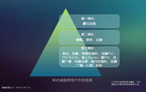 2017中國網(wǎng)絡視聽發(fā)展報告 用戶付費意識崛起與網(wǎng)生內(nèi)容品質(zhì)化轉型